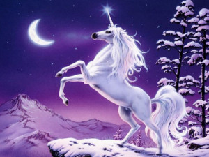 Unicorns at night time.