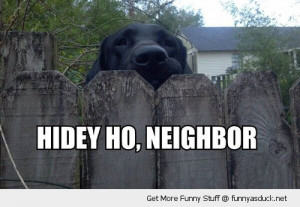 Hidey Neighbor Dog Looking Over...
