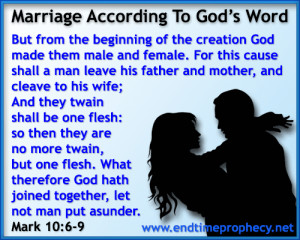 Biblical Marriage / Divorce / Adultery Graphic 04
