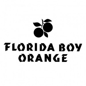 Free vector >> Vector logo >> florida boy orange