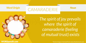 Origin of the word Camaraderie: