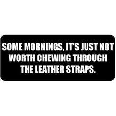 Some mornings, it's just not worth chewing through the leather straps ...