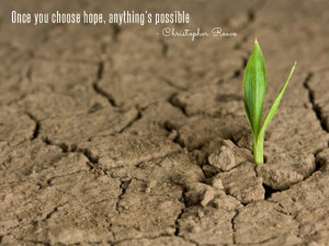Once you choose hope, anything’s possible. Christopher Reeve