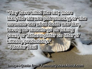 Litter quote #1