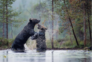 You can discover more about a person in an hour of play than in a year ...