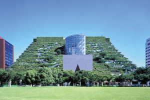 Green Building, Architects, Acro Fukuoka, Green Roof, Green Life, Roof ...