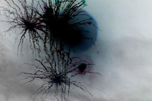 Want a Quick Oregon Auto Insurance Quote!