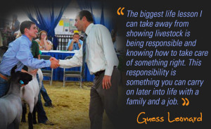 What do you do to continually improve in the show ring?