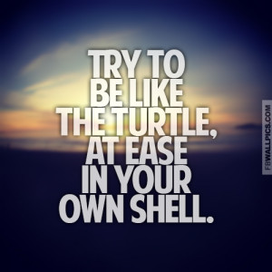 Try To Be Like The Turtle Inspiring Quote Picture