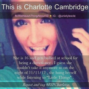 SERIOUSLY? being bullied for being a directioner? ...403