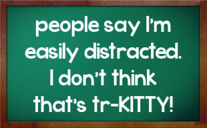 people say I'm easily distracted. I don't think that's tr-KITTY!