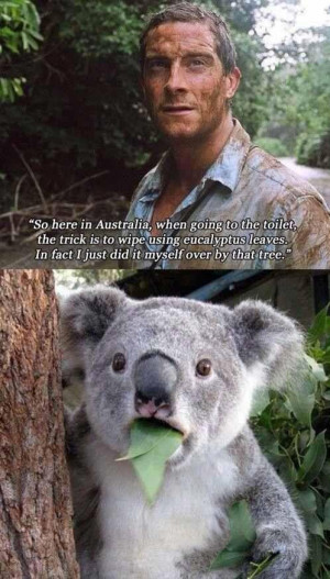 hilarious joke photo 63 LOL! Funny Joke Pic!