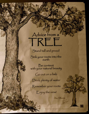 Listen to the trees...