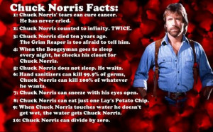 Chuck Norris vs. The Most Interesting Man in the World - who will win?