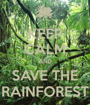 Related to Save The Rainforest