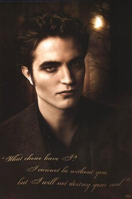 Twilight 2 New Moon (Edward - quote) Poster Print (24 x 36)