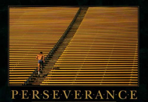 perseverance Is it luck or perseverance?