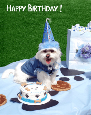 Dog Happy Birthday Funny Image