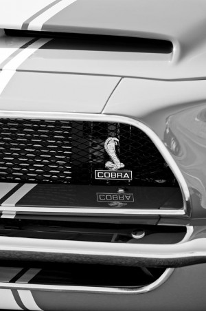 Ford Mustang Boss Grille