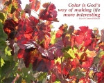 Quotations about autumn , from The Quote Garden. ... The foliage has ...