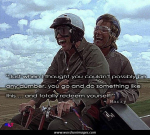 Dumb and dumber quotes