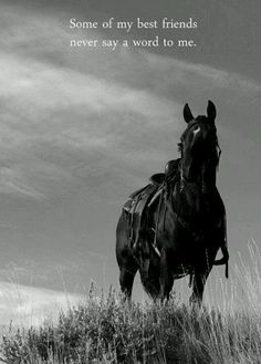 ... my best friends never say a word to me. #truth #horse #wisdom #quote
