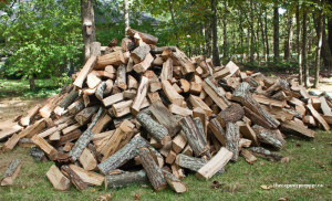 The EPA Takes an Ax to Self-Sufficiency: Most Woodburning Stoves Will ...