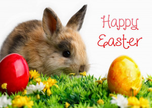 happy easter quotes 14 happy easter quotes 15 happy easter quotes 16 ...