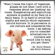 vegan more vegan animal rights lifestyle vegetarian andor vegan quotes ...