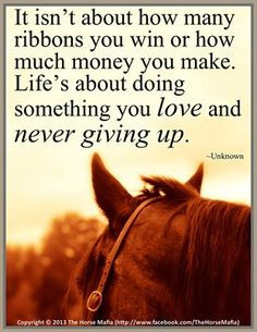 Equestrian quotes
