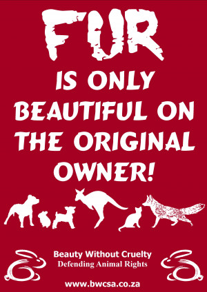 puppies fur poster pdf 350kb kittens fur poster pdf 450kb