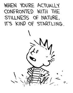 calvin and hobbes makes me so warm and cozy even after all these years