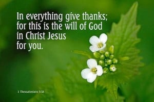 In everything give thanks.