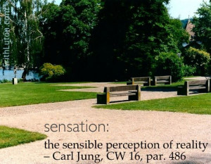 Quote from Carl Jung: Sensation: the sensible perception of reality.