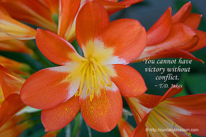 Td Jakes Quotes T.d. jakes