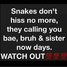 Snakes don't hiss More