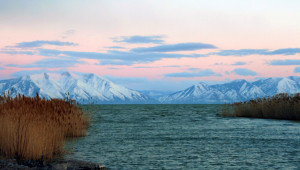 Cold Weather Warm Heart The