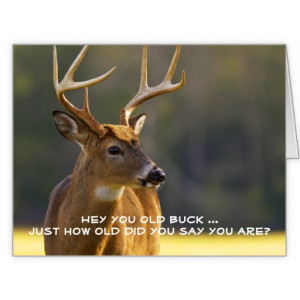 Hunting Funny Buck Animal Camo Happy Birthday 2 Greeting Cards