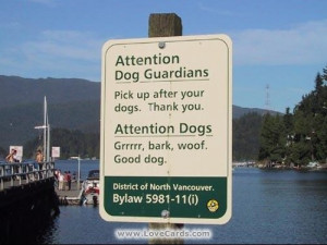 great sense of humor