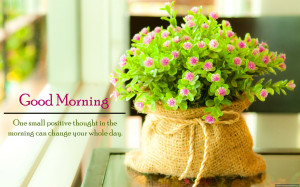home good morning best good morning quote flowers hd wallpaper