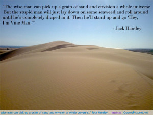 The wise man can pick up a grain of sand and envision a whole universe ...