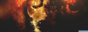 lion-face-facebook-cover-timeline-banner-for-fb.jpg