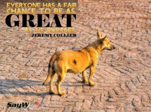 Everyone has a fair chance to be as great as he pleases. - Jeremy ...