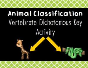 Dichotomous Key Animal Classification