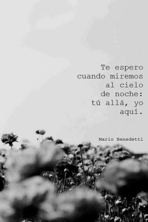quote Mario Benedetti