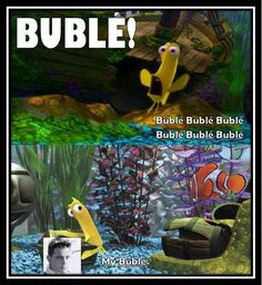 Michael Buble and Bubbles from Nemo... great pair! More