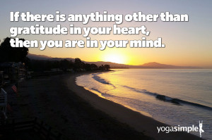 Yoga Quotes Gratitude
