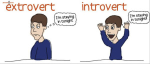 Jung’s Theory of Introvert and Extrovert Personalities
