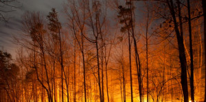 Get A Quick, Personalized Insurance Quote Today.