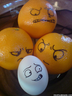 Quotes about eggs | Funny egg jokes